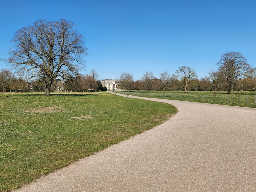A wide, gently winding gravel pathway runs through a large, open park landscape on a clear day with blue sky. To the left of the path, there is a prominent, leafless deciduous tree with a textured, dark brown trunk and sprawling branches. The surrounding area includes patches of green grass with some dry, brown spots, and low hedging or fencing borders part of the background. Further in the distance, several smaller trees with sparse foliage are visible, along with a stately historic building partially obscured by the trees. The environment appears tranquil and well-maintained, with natural lighting highlighting the textures of the tree bark, grass, and gravel. This scene illustrates a typical setting where outdoor waste collection services, such as those provided by Rubbish Clearance Merton, might operate or support on-site clearance activities in a public park context, emphasizing an alternative, independent approach to rubbish removal in scenic environments.